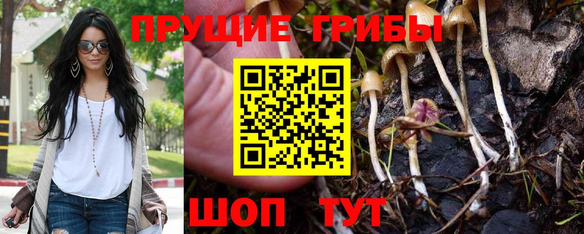 Галлюциногенные грибы GOLDEN TEACHER Менделеевск
