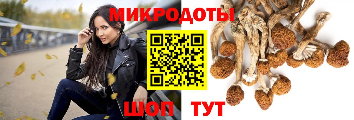 Менделеевск  Галлюциногенные грибы Magic Shrooms  Вход с VPN 